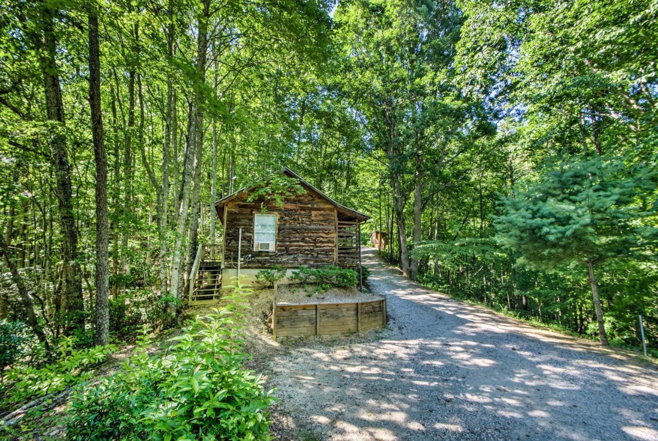 Cozy The Woodshop Cabin With Deck And Forest Views! روبنزفيل المظهر الخارجي الصورة